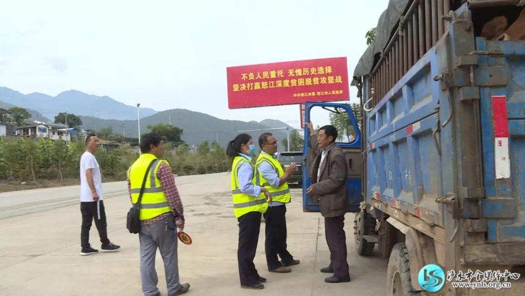 非洲地区健康防线再升级，最新病例动态积极呈现