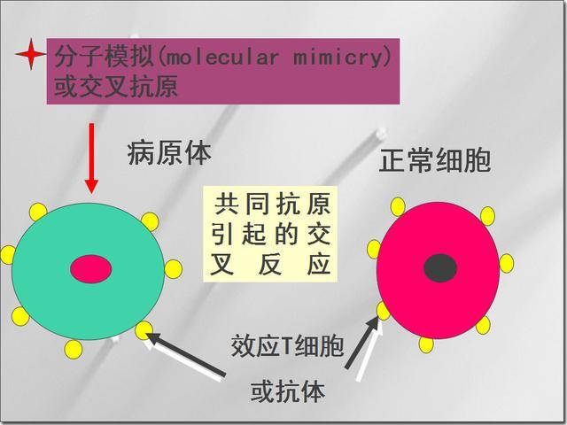 “新馆病毒最新统计”