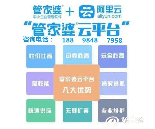 管家婆的资料一肖中特,实地解析数据评估_初始版Z97.854