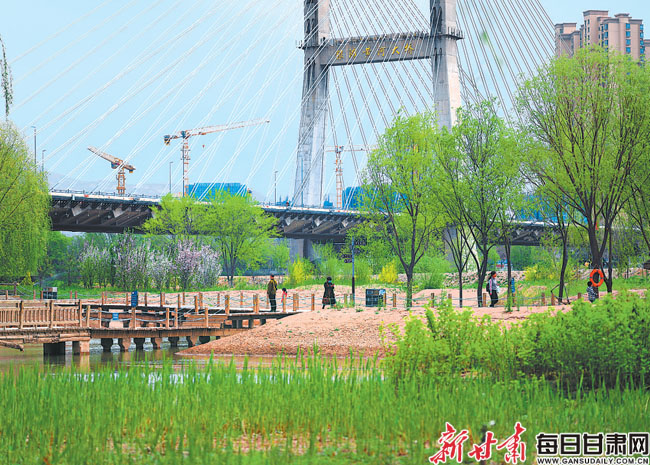 阳泉市春意盎然，最新动态盘点：城市春日盛景速递