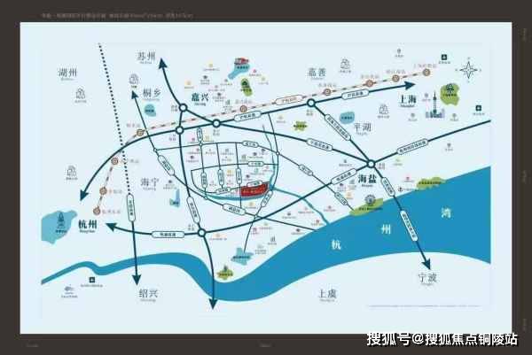 聊城地区时下黄瓜市场最新行情解析