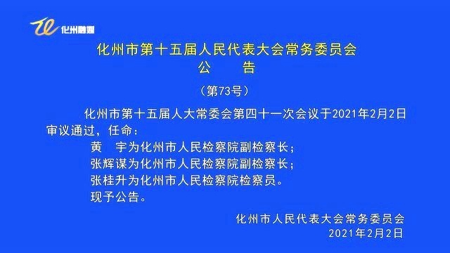 从化区最新官方任命公告：权威任命通知一览